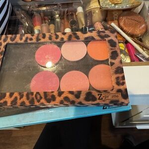 Makeup blush pans with magnetic case